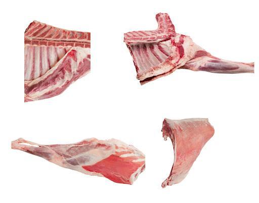Quality frozen pork loin , chainless, boneless