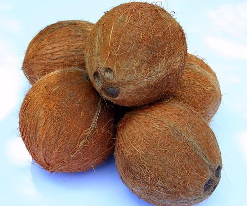 Coconut fresh wholesle semi husked at low cost from thailand