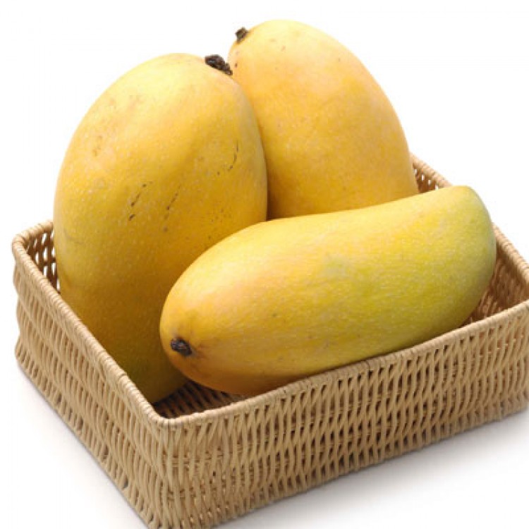 High quality 100% natural fresh fruits class A Australian fresh mango