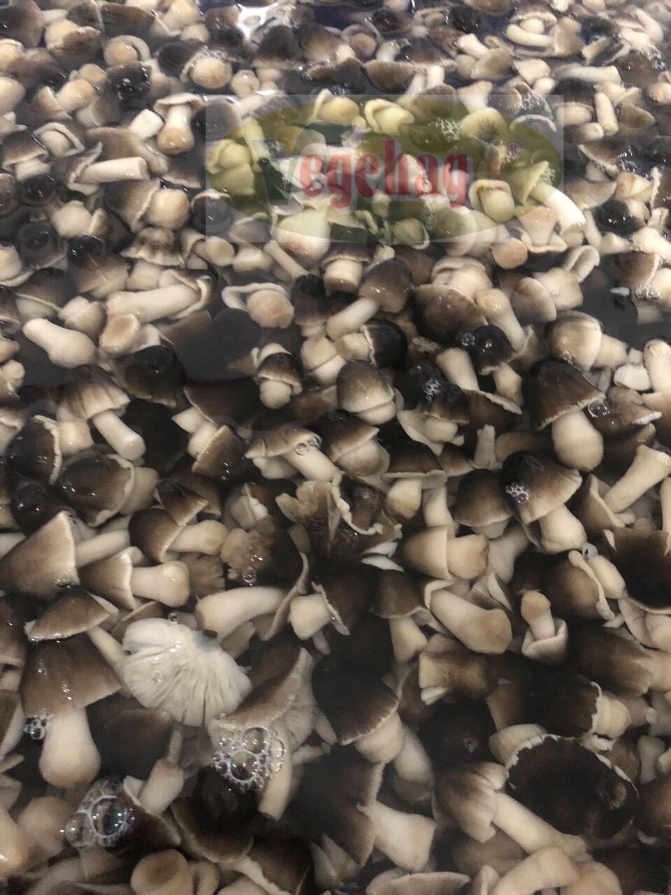 Organic Dried Straw Mushroom - N_m m_ r_m VIETNAM