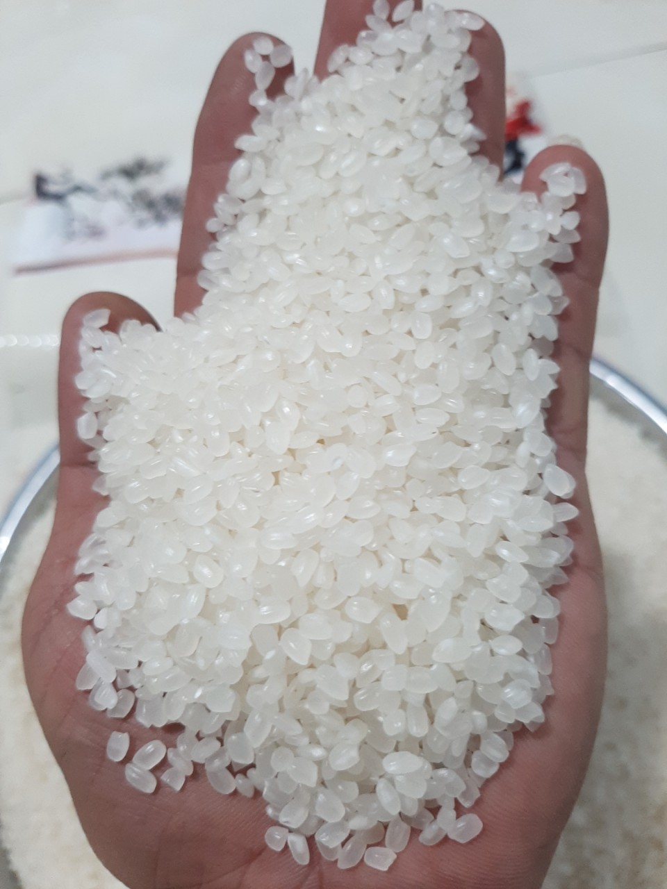 Japonica Rice- Sushi Rice- Japanese Rice- Calrose Rice,Vietnam Vietnam Short Grain Rice Price ...