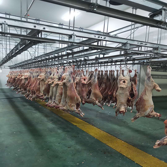 Bleeding conveyor for sheep abattoir plant in mutton processing line ...