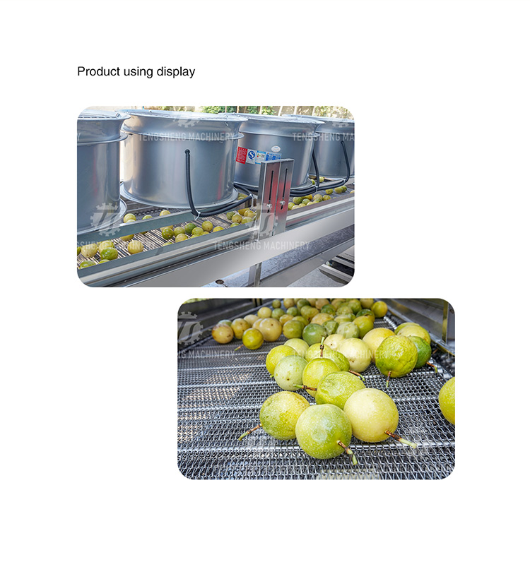 Industrial Stainless Steel Fruit and Vegetable Drying Machine Food Processor