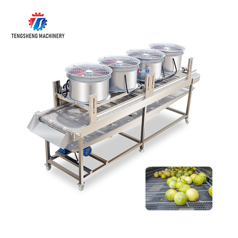Industrial Stainless Steel Fruit and Vegetable Drying Machine Food Processor