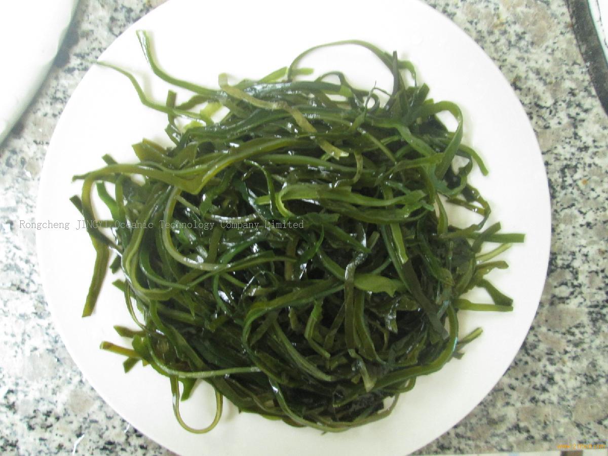 Machine Dried Cut Kelp Green Shredded Laminariachina Jingyi Price