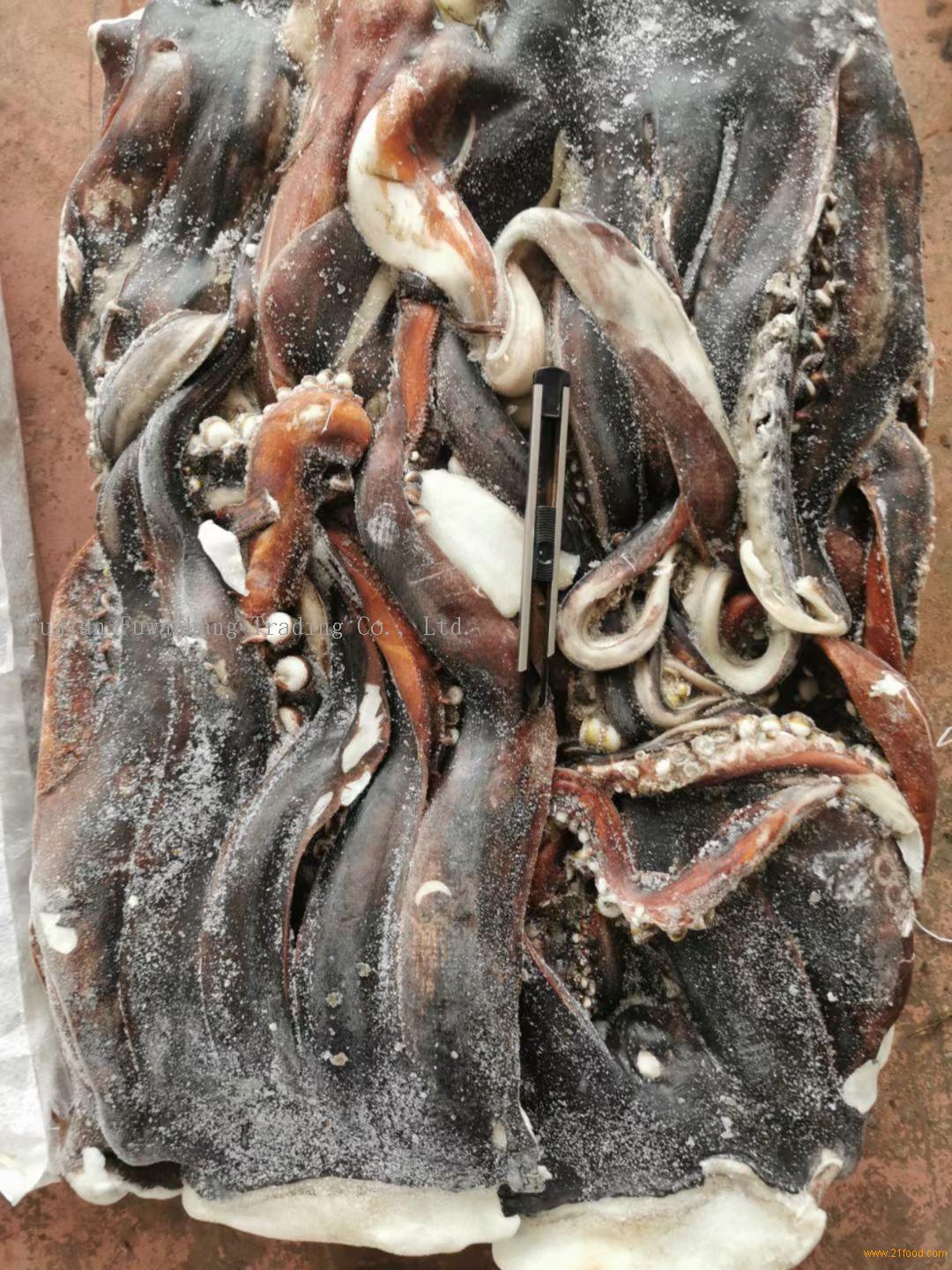 giant squid tentacle,China price supplier - 21food