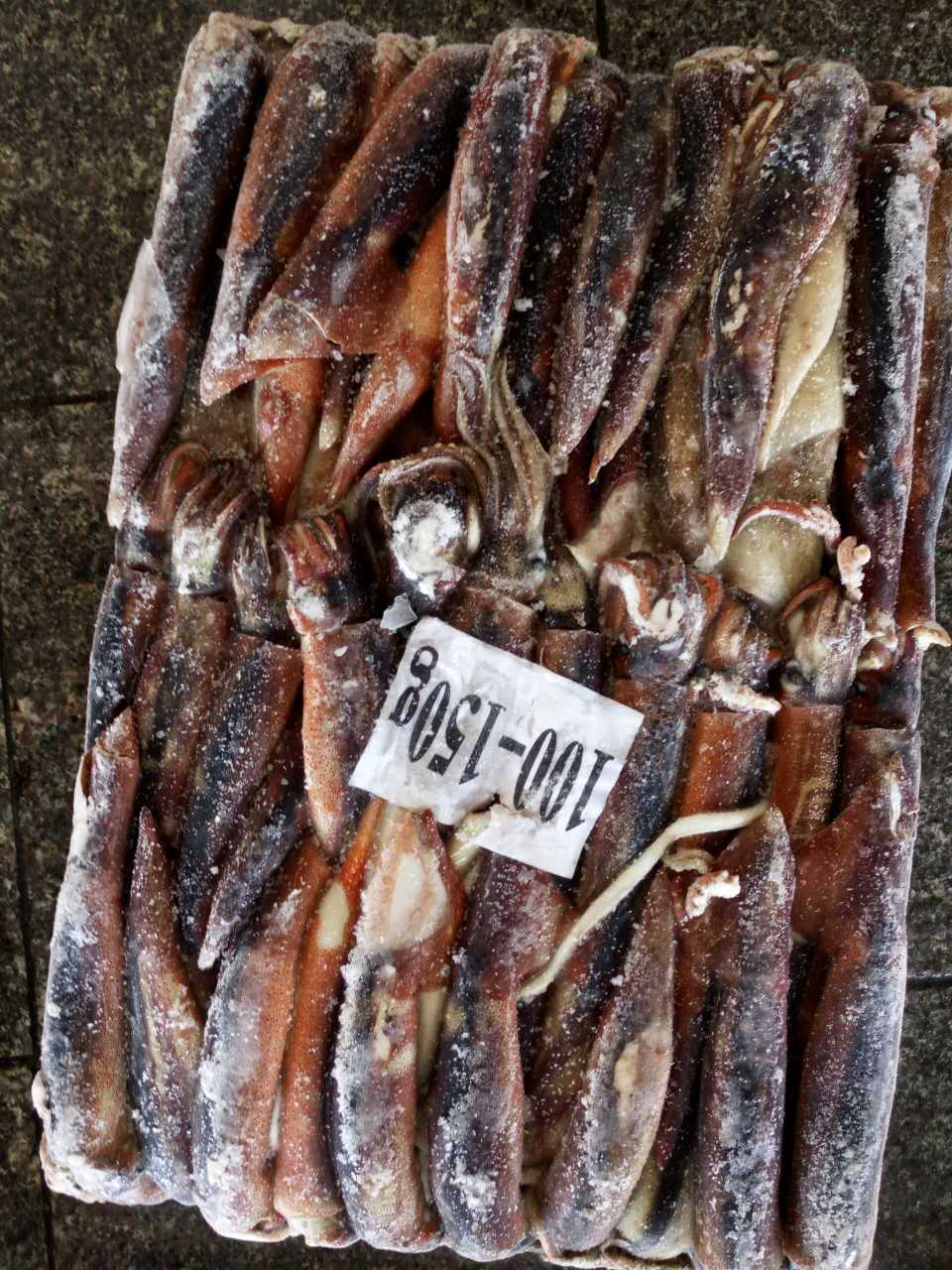 frozen california squid price wholesale,China JOY SEAFOOD LIMITED price