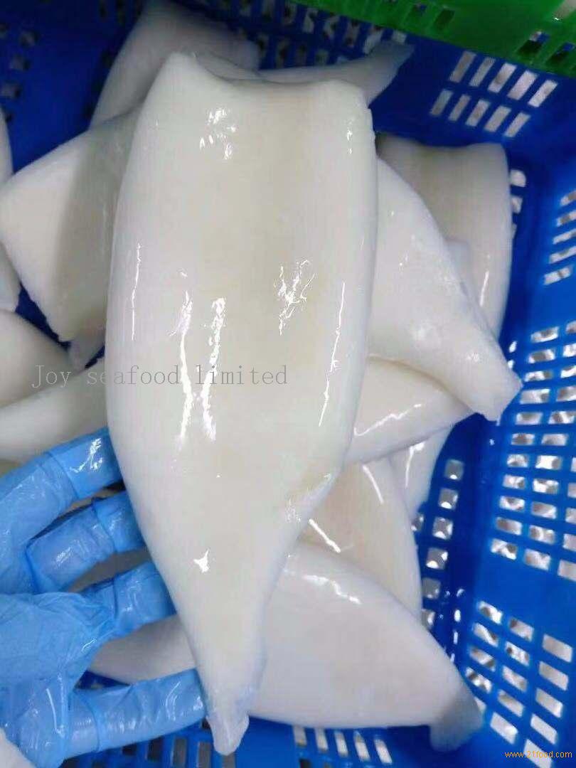 Frozen Giant Squid Tube U5 Malaysia China Joy Seafood Limited Price Supplier 21food