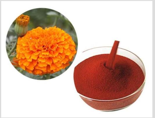 Micro-encapsulated Lutein Ester Powder