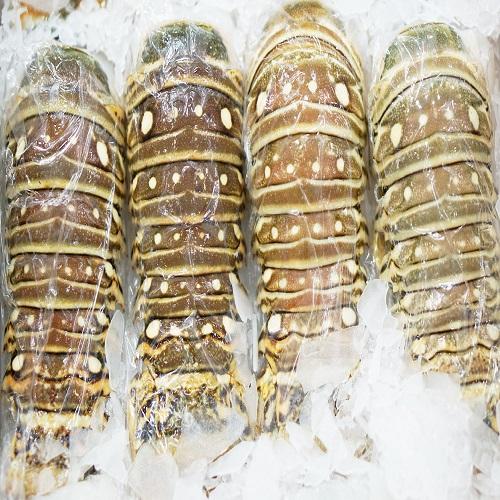 Frozen Lobster / Frozen Lobster Tails / Fresh Live Lobsters,South ...