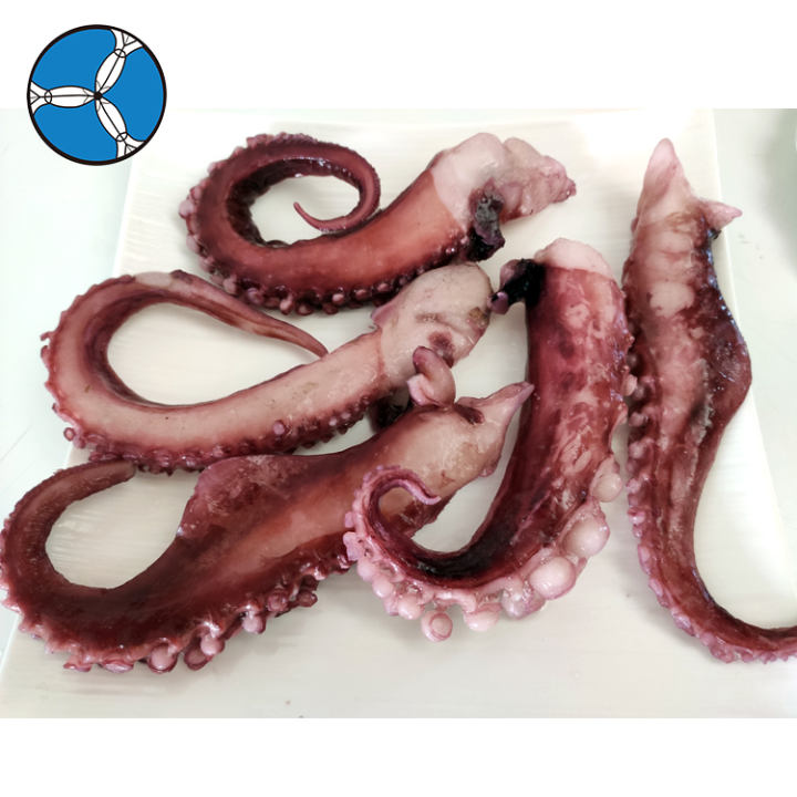 SANFENG SEAFOOD frozen giant squid tentacles High quality