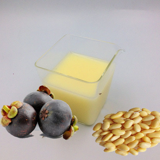 1 Litre Soy Juice with Passion Fruit Flavor