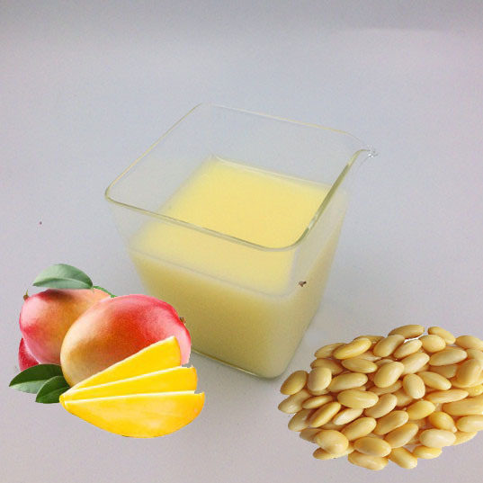 1 Liter Soy Juice with Mango Flavor