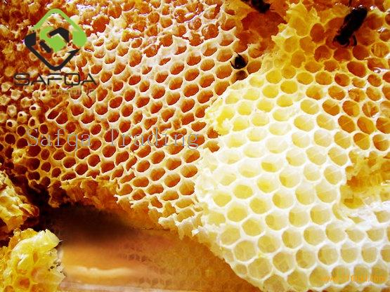 organic-honey-ethiopia-safqa-fresh-organic-honey-price-supplier-21food