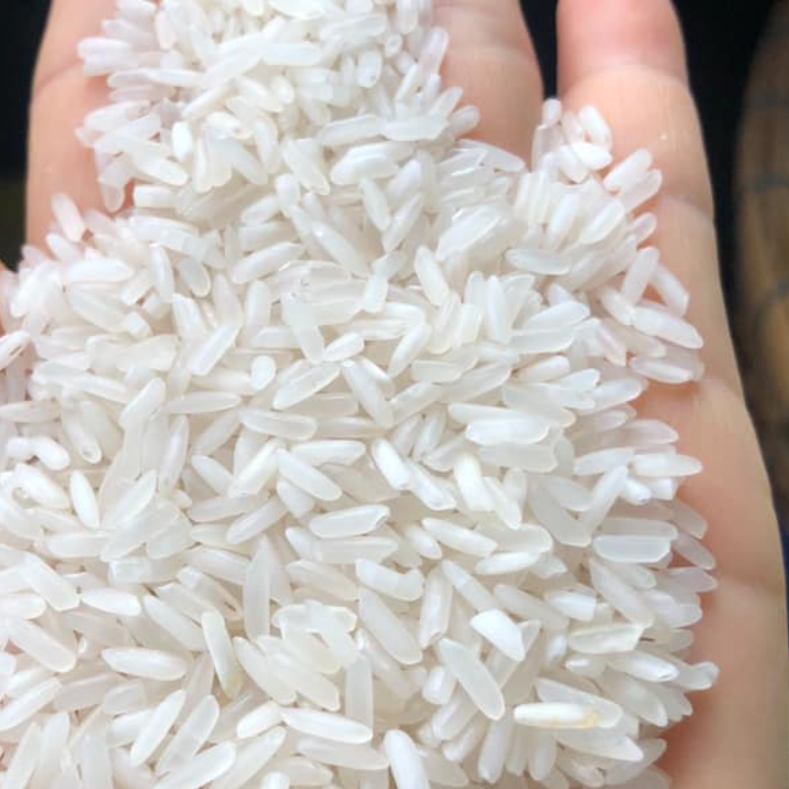 Long Grain White Rice 504 Rice Bulk Sale High Benefits Using For Food