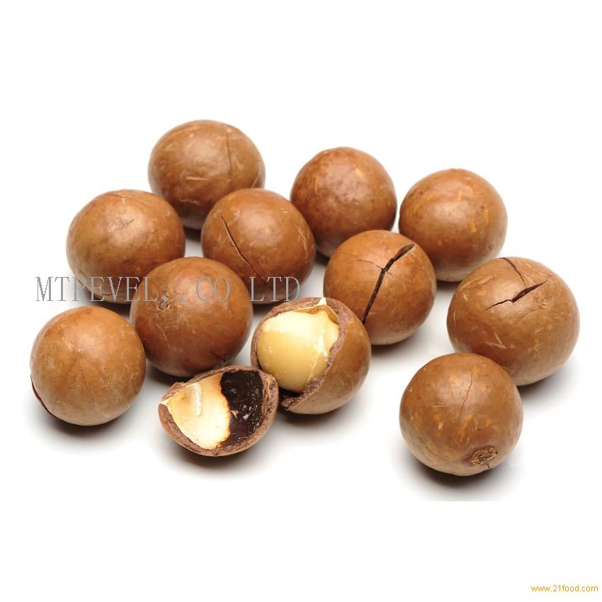 australian macadamia nuts for sale wholesale