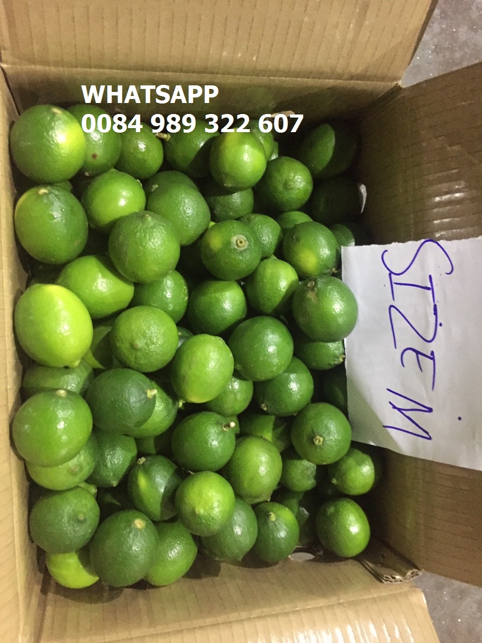 Green Sour Lime Natural Fresh Citrus Fruit Fresh / Fresh Lemon Seedless/  Lime,Vietnam Fresh citrus fruit price supplier - 21food