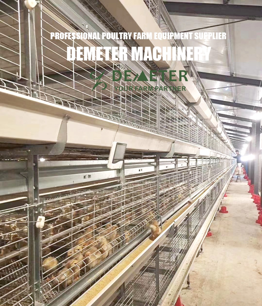Poultry Cage - Poultry Equipment Retailer from Muvattupuzha