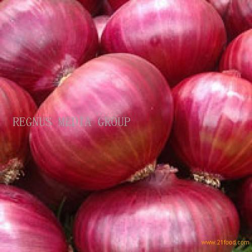 Onion Healthy Food Fresh Market Red Onions Fresh Onion Prices