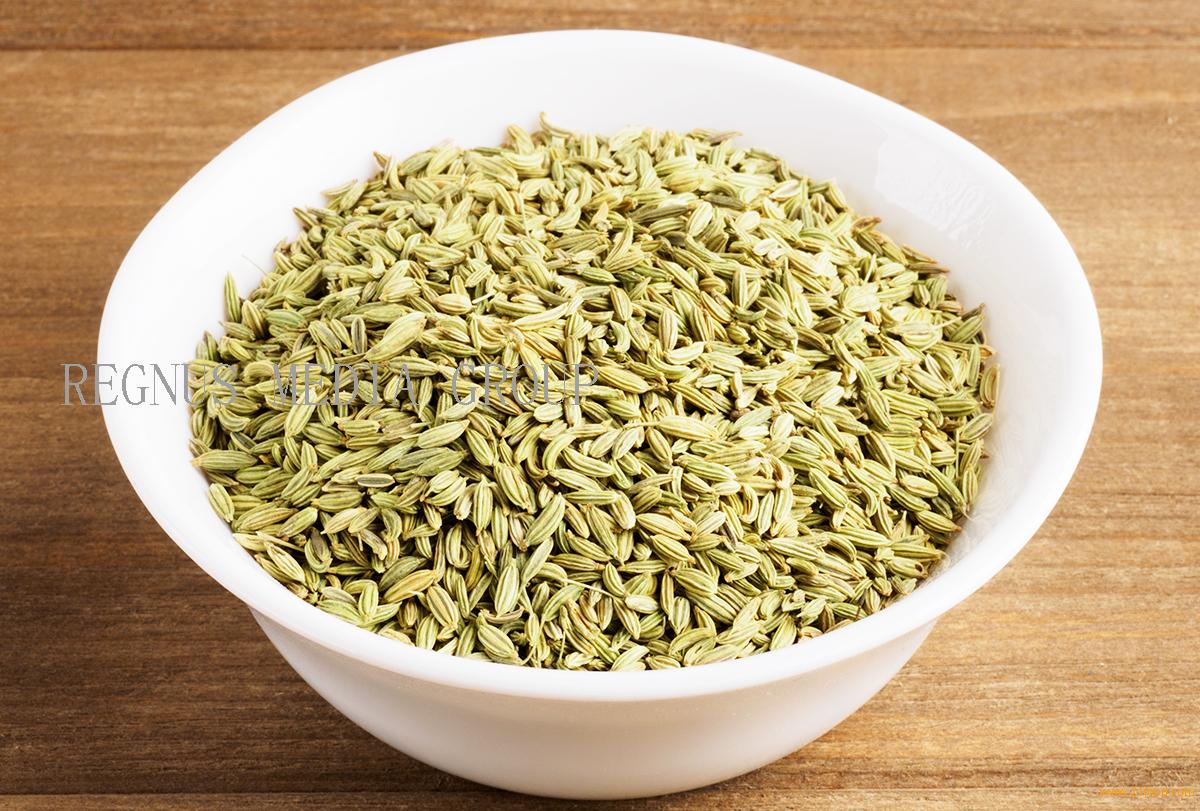 High Quality Cooking Spices Fennel Seeds Cooking Condiments