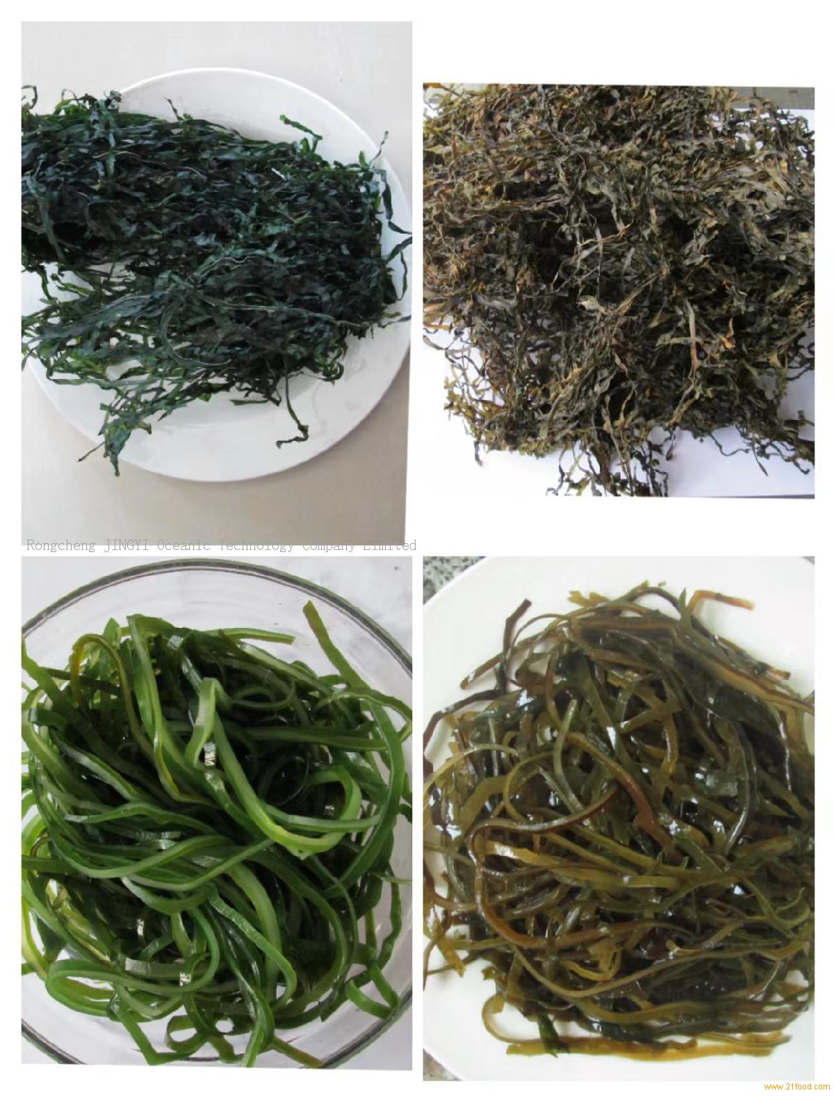 Machine Dried Kelp Cut Sublimated Kelp Dry Kelp Seaweedchina Jingyi