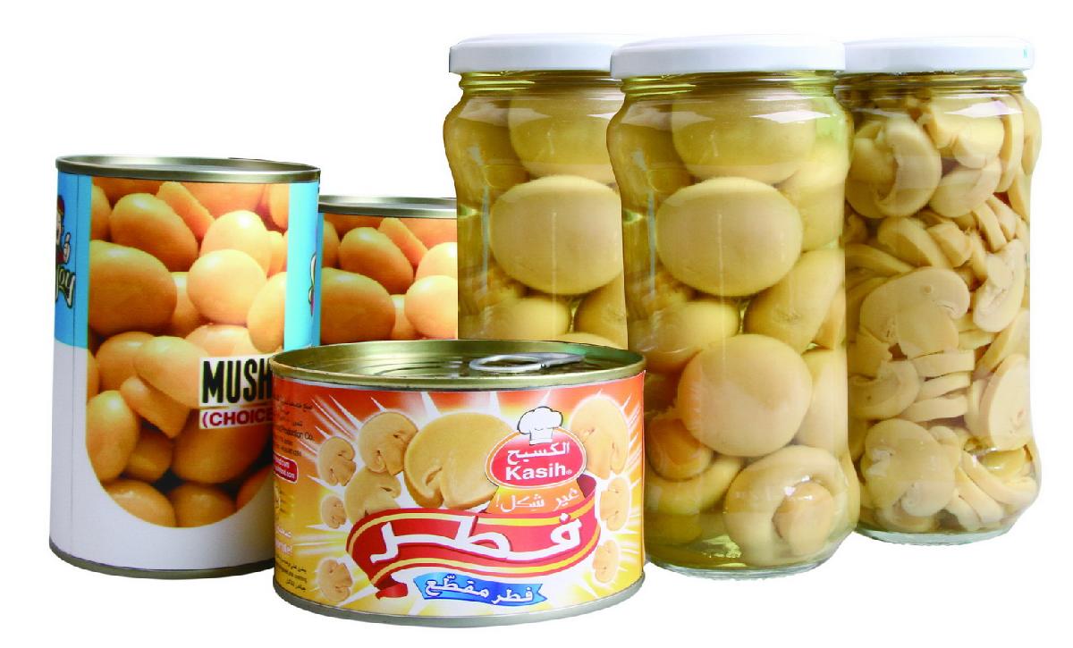 canned mushroom,China price supplier 21food