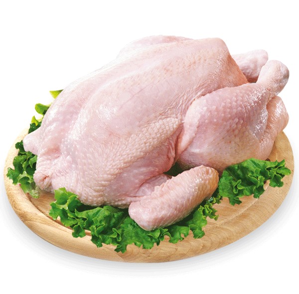 Clean Whole Frozen Chickendenmark Chicken Price Supplier 21food