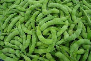 IQF edamame