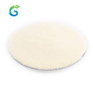 Hydrolyzed Bovine Collagen / Collagen Protein Powder