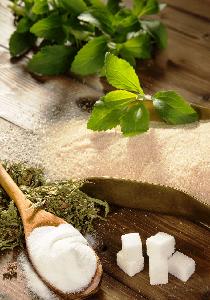 Stevia extract (Reb - M 90%~95%)