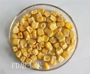 High quality FD sweet corn freeze dried sweet corn