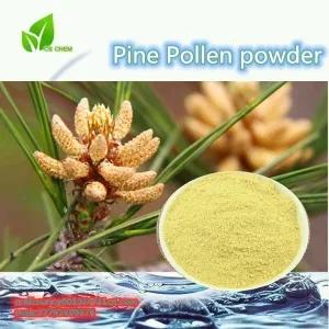 99% Cell Wall  Broken  Pine Pollen Pinus Massoniana Powder
