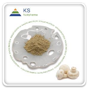 White Button Mushroom Extract Powder