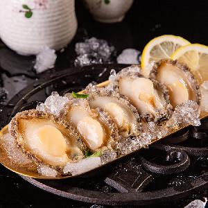 Frozen Abalone Seafood