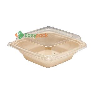 Disposable Container KG Plast has latest facility to produce thermoformed  food packaging disposable i…