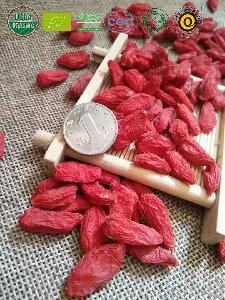 GOJI / WOLFBERRY
