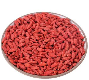 Chinese Special Healthy Food Natural Goji Berry
