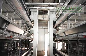 Automatic chicken cage battery cage system for sale in Lagos Nigeria