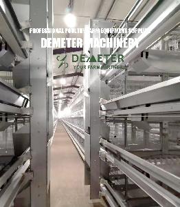 Laying battery automatic chicken cages for sale in Lusaka Zambia