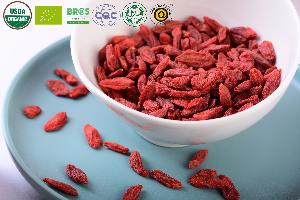 Hot selling good quality goji berries dried organic chinese wolfberry