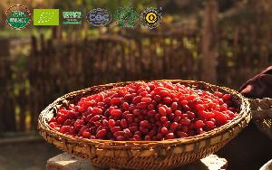 Certified organic organic dried goji berries fresh