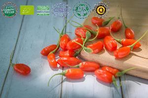 Goji Berry 500 from China Good for Health