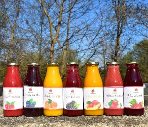 Fruit Puree and Frozen