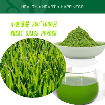 Wheat Grass Powder 200meshes