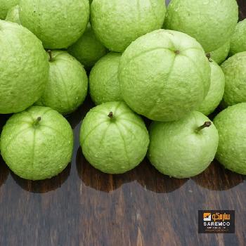 Guava  Puree