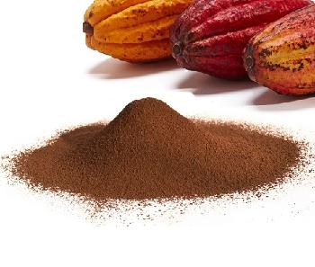 Top Supplier Factory Price Dutch pure Cocoa Powder Ghana