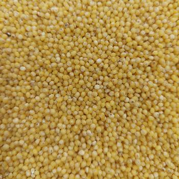 Hulled Millet