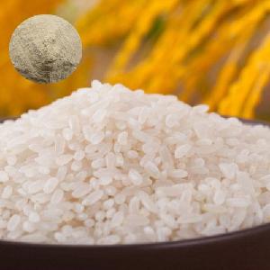 Rice Protein Powder