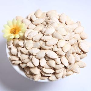 PUMPKIN SEEDS
