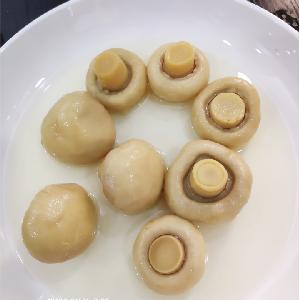 Tin Packing Canned Mushrooms 400g